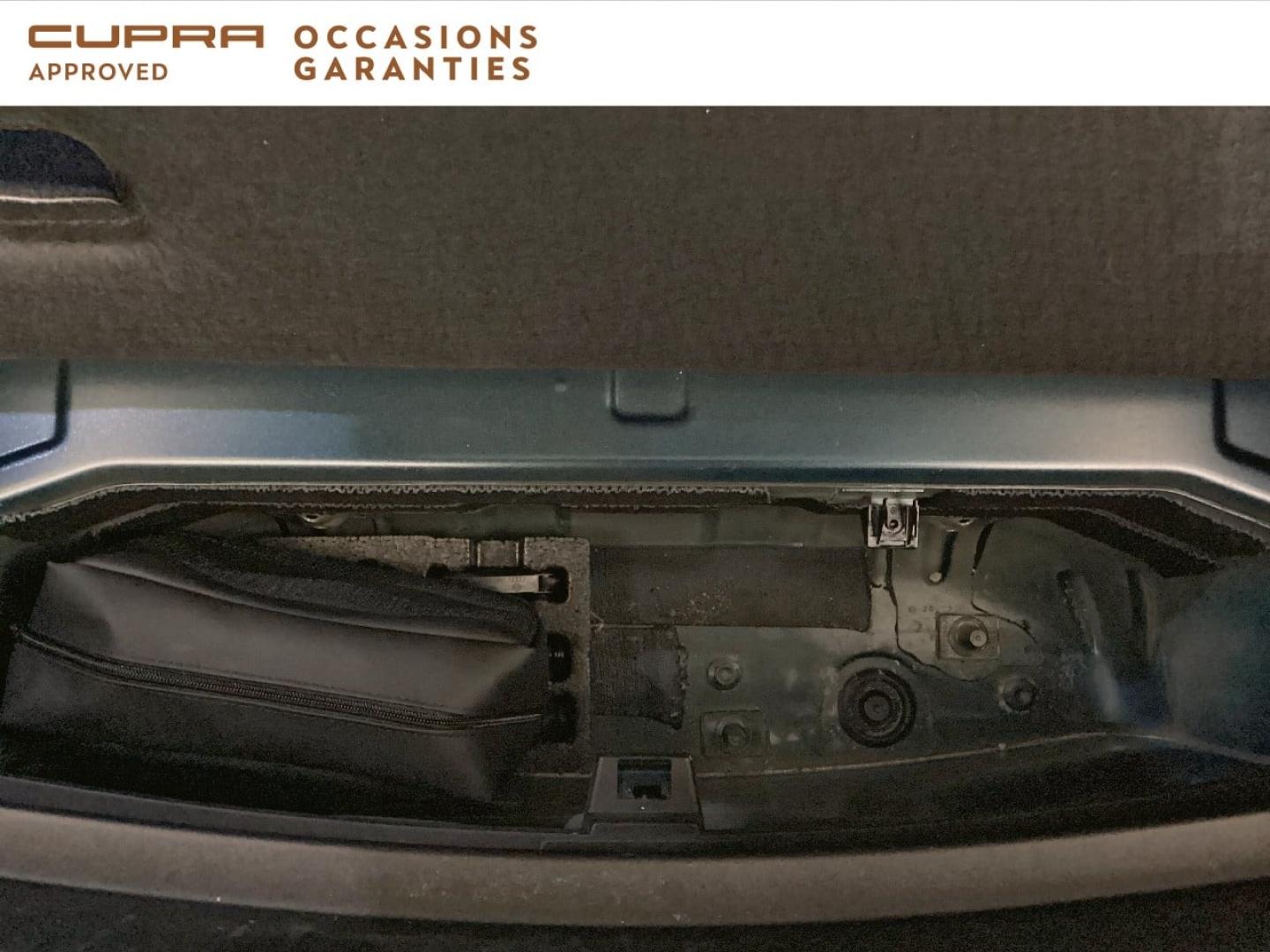 Voitures occasions CUPRA BORN VZ Nice