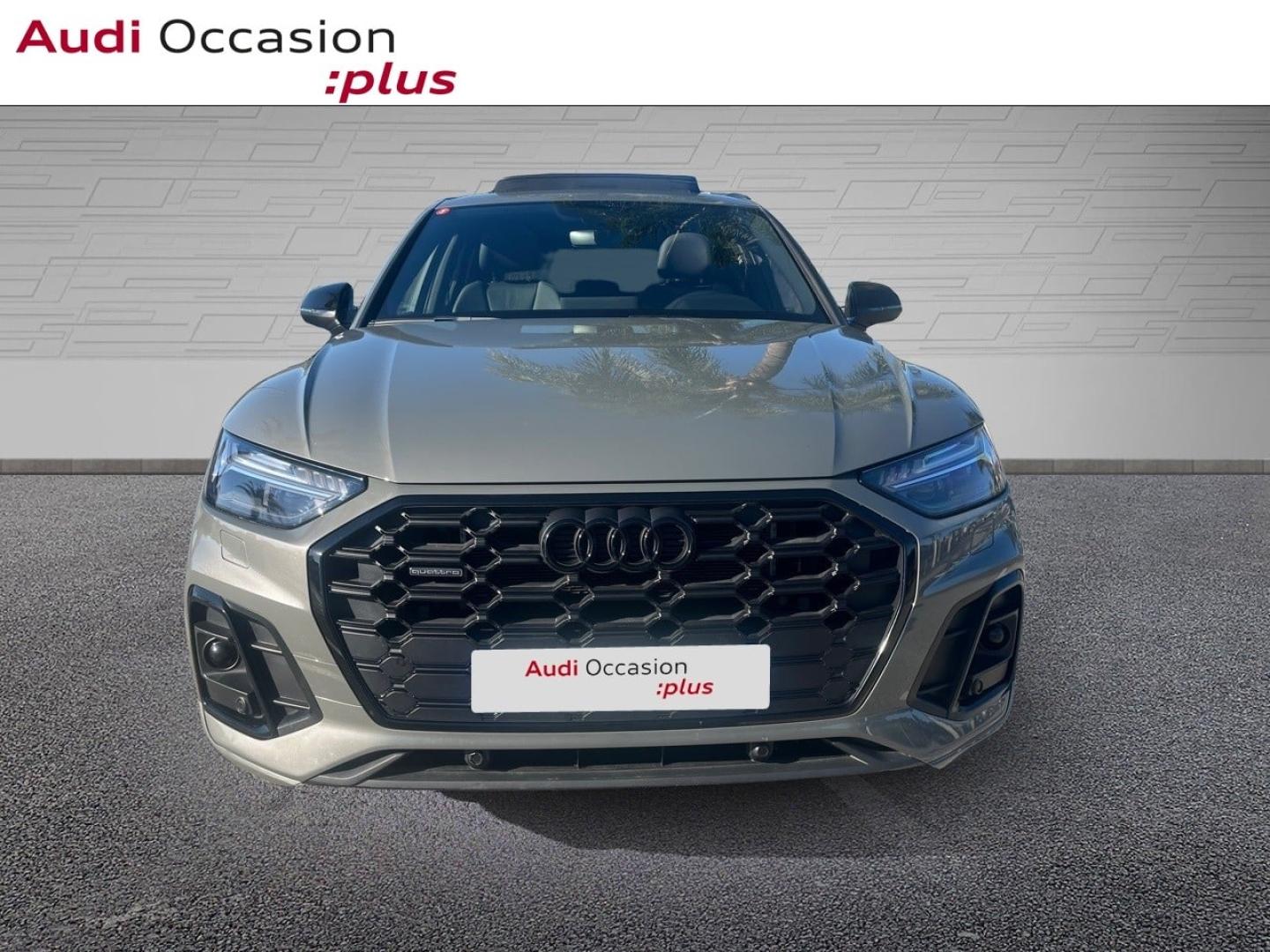 Voitures occasions Audi Q5  Nice