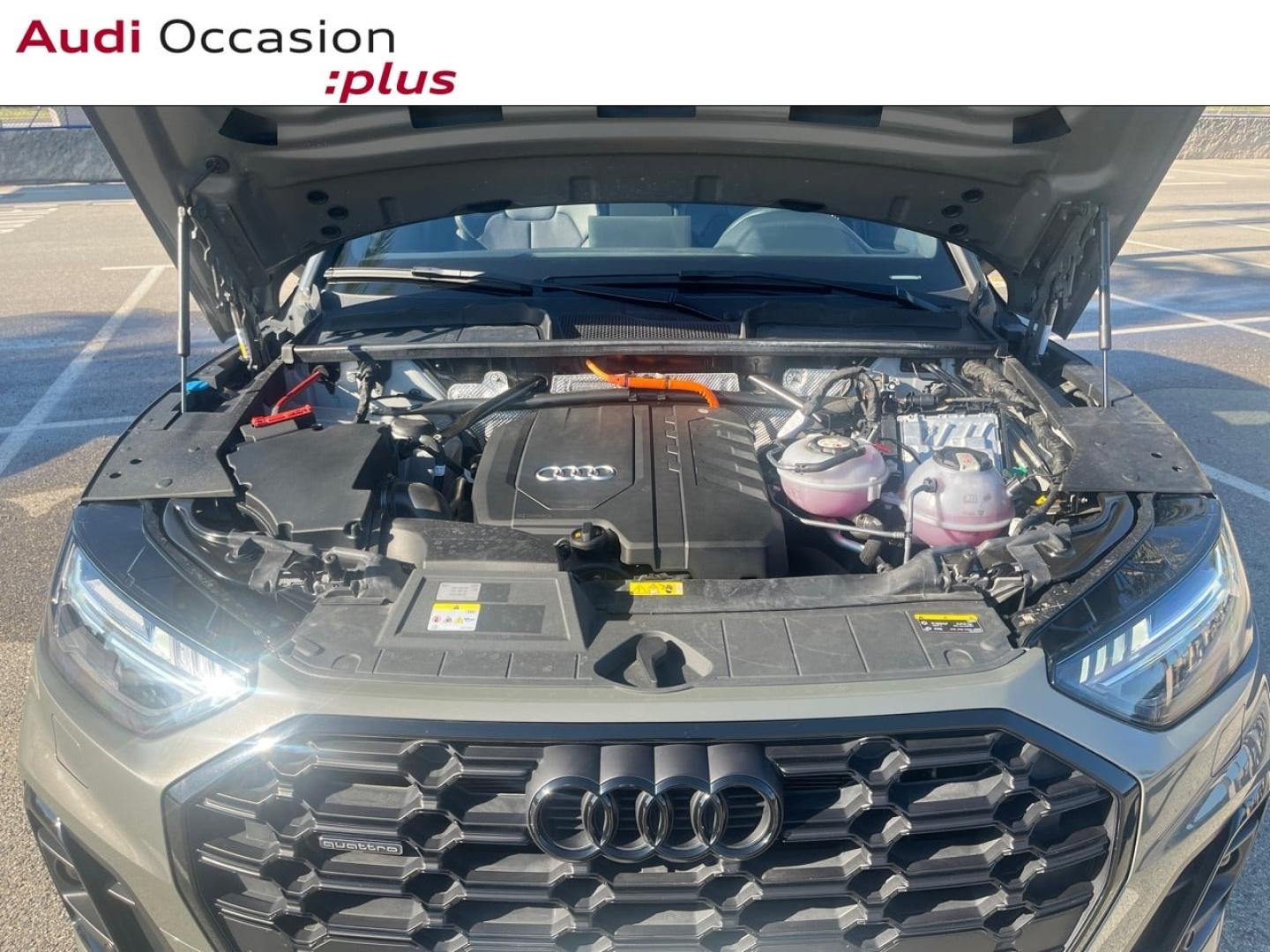 Voitures occasions Audi Q5  Nice