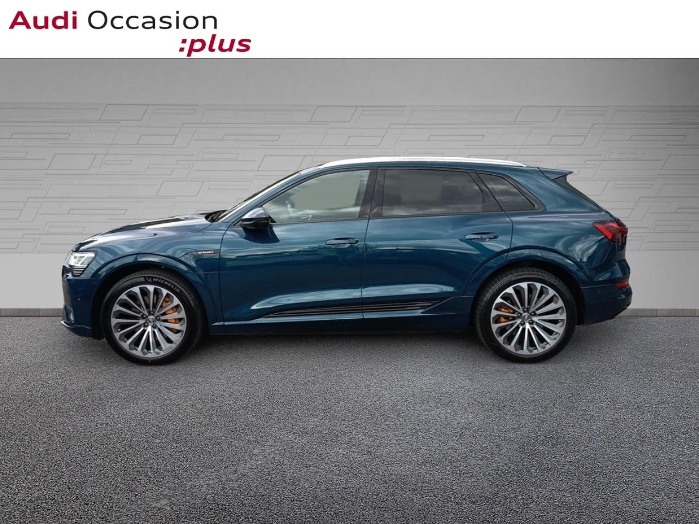 Voitures occasions Audi E-TRON Avus Laxou