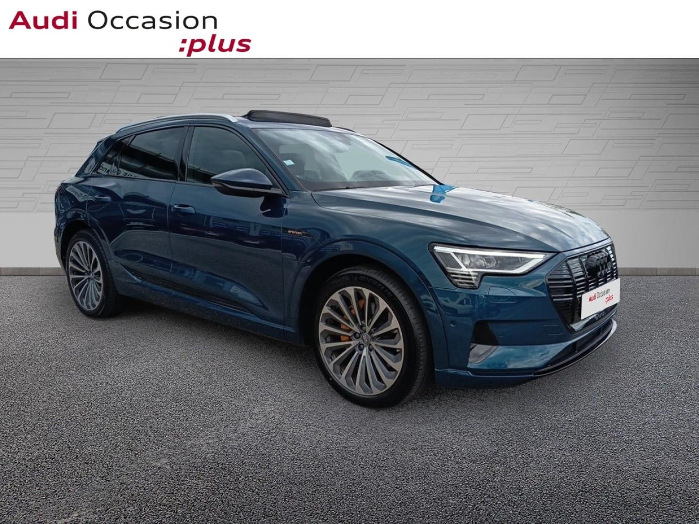 Voitures occasions Audi E-TRON Avus Laxou