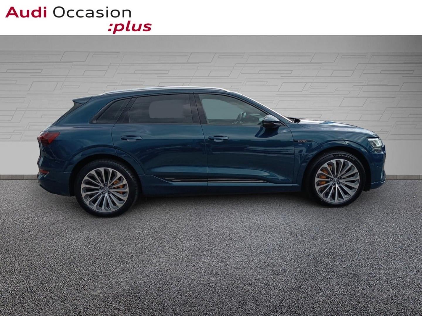 Voitures occasions Audi E-TRON Avus Laxou