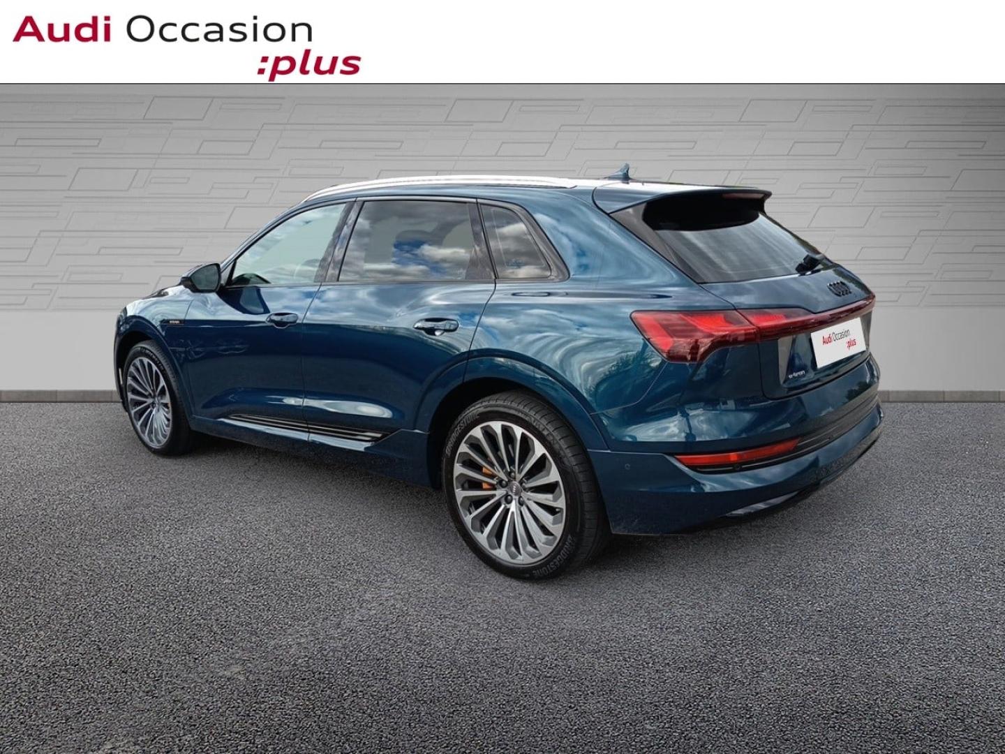 Voitures occasions Audi E-TRON Avus Laxou