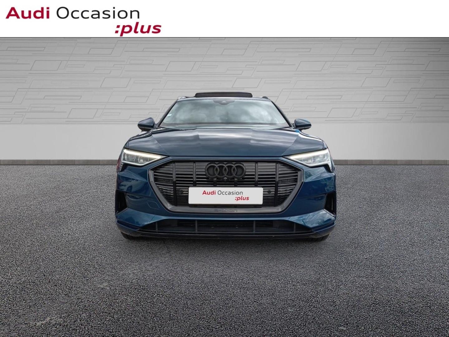 Voitures occasions Audi E-TRON Avus Laxou