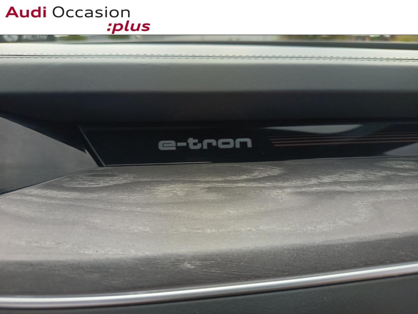 Voitures occasions Audi E-TRON Avus Laxou