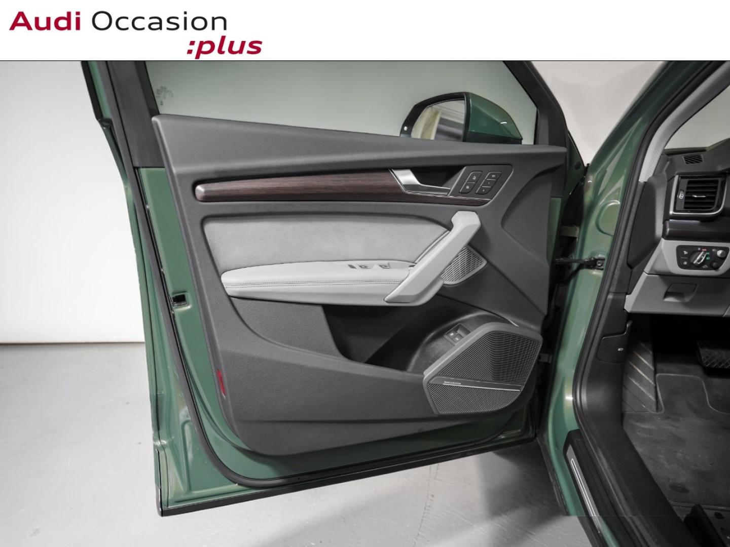 Voitures occasions Audi Q5 Avus Paris