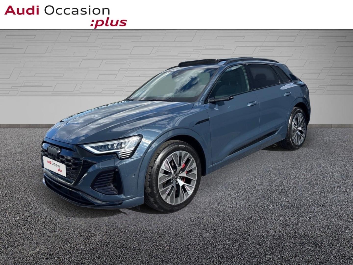 Voitures occasions Audi Q8 E-TRON S Line Saint-Thibault-des-Vignes