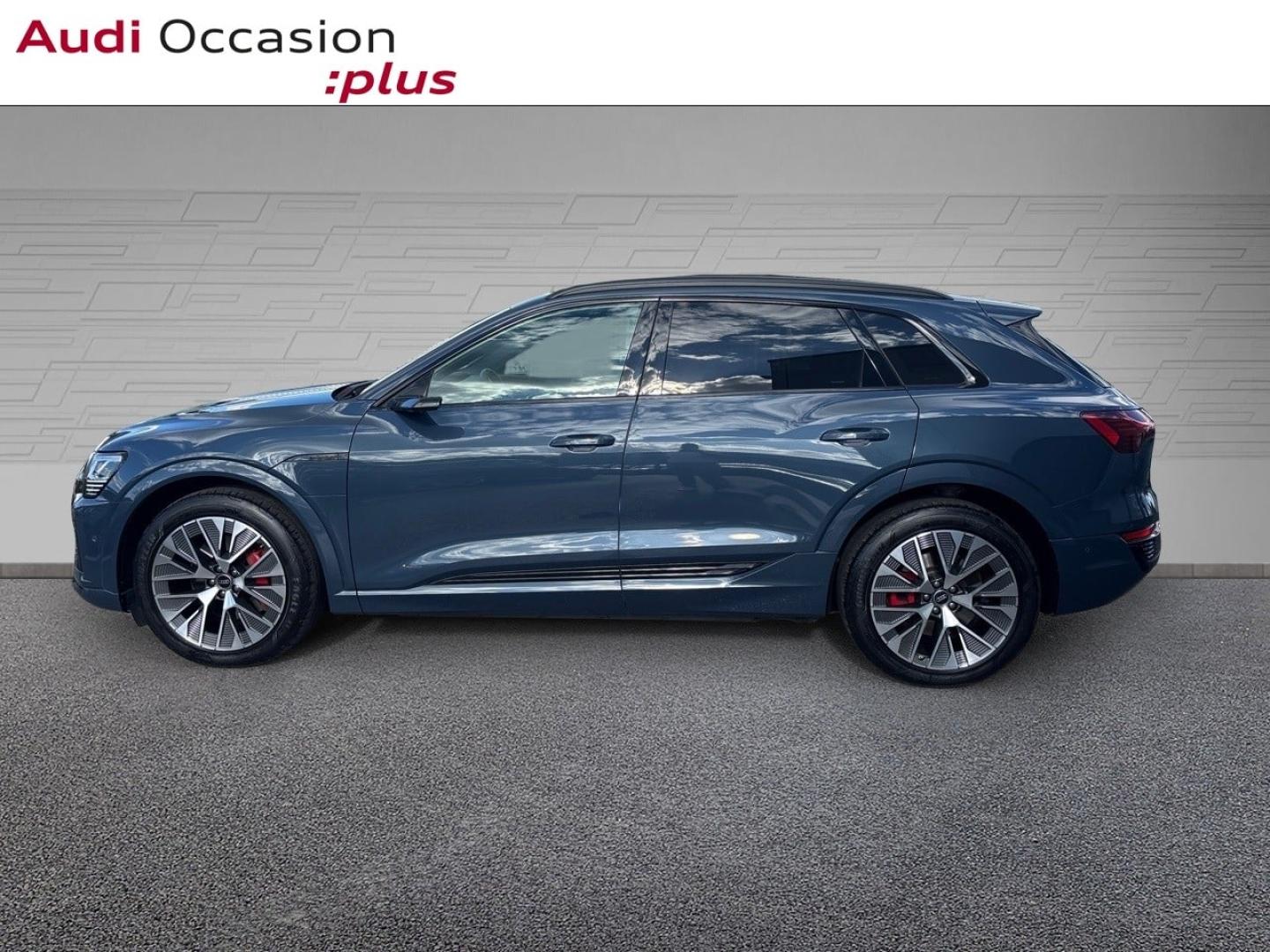 Voitures occasions Audi Q8 E-TRON S Line Saint-Thibault-des-Vignes