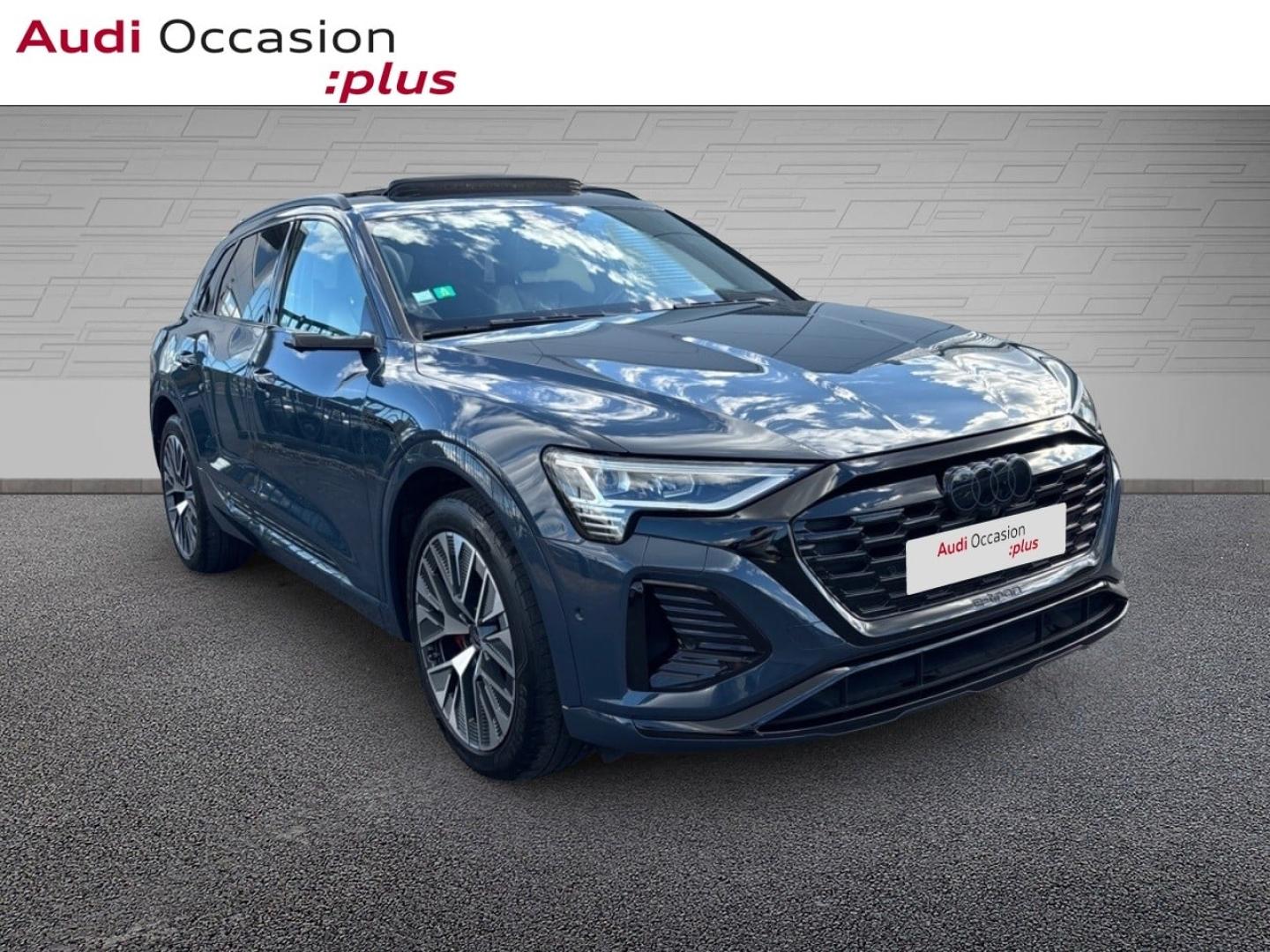 Voitures occasions Audi Q8 E-TRON S Line Saint-Thibault-des-Vignes