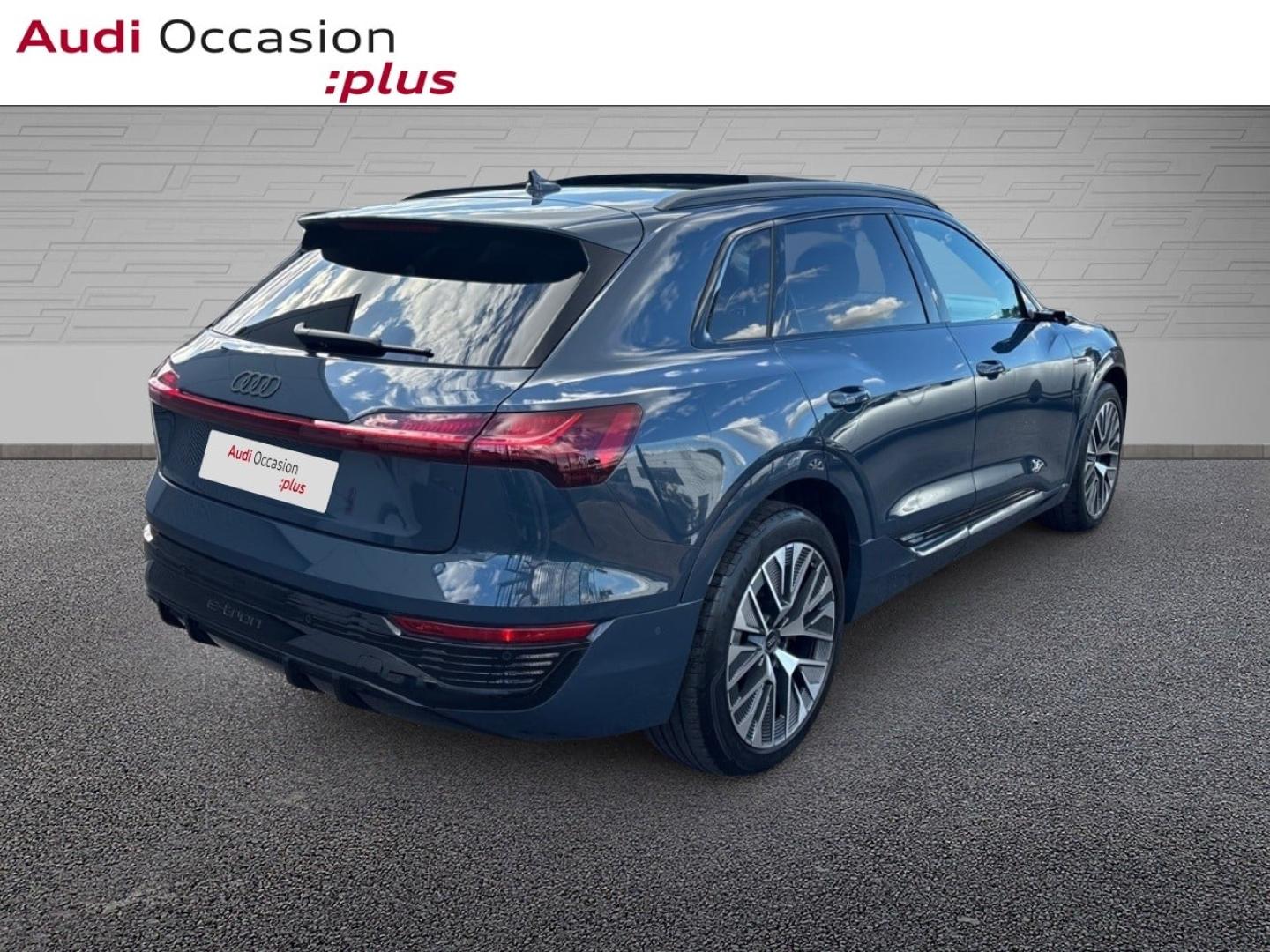 Voitures occasions Audi Q8 E-TRON S Line Saint-Thibault-des-Vignes