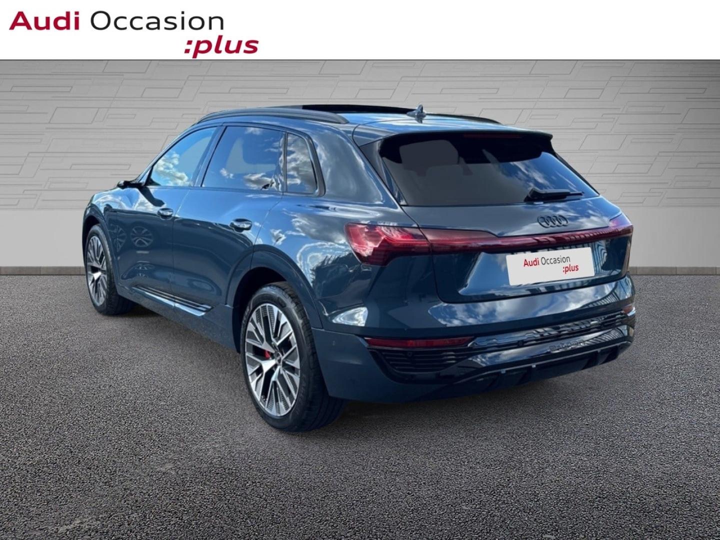Voitures occasions Audi Q8 E-TRON S Line Saint-Thibault-des-Vignes
