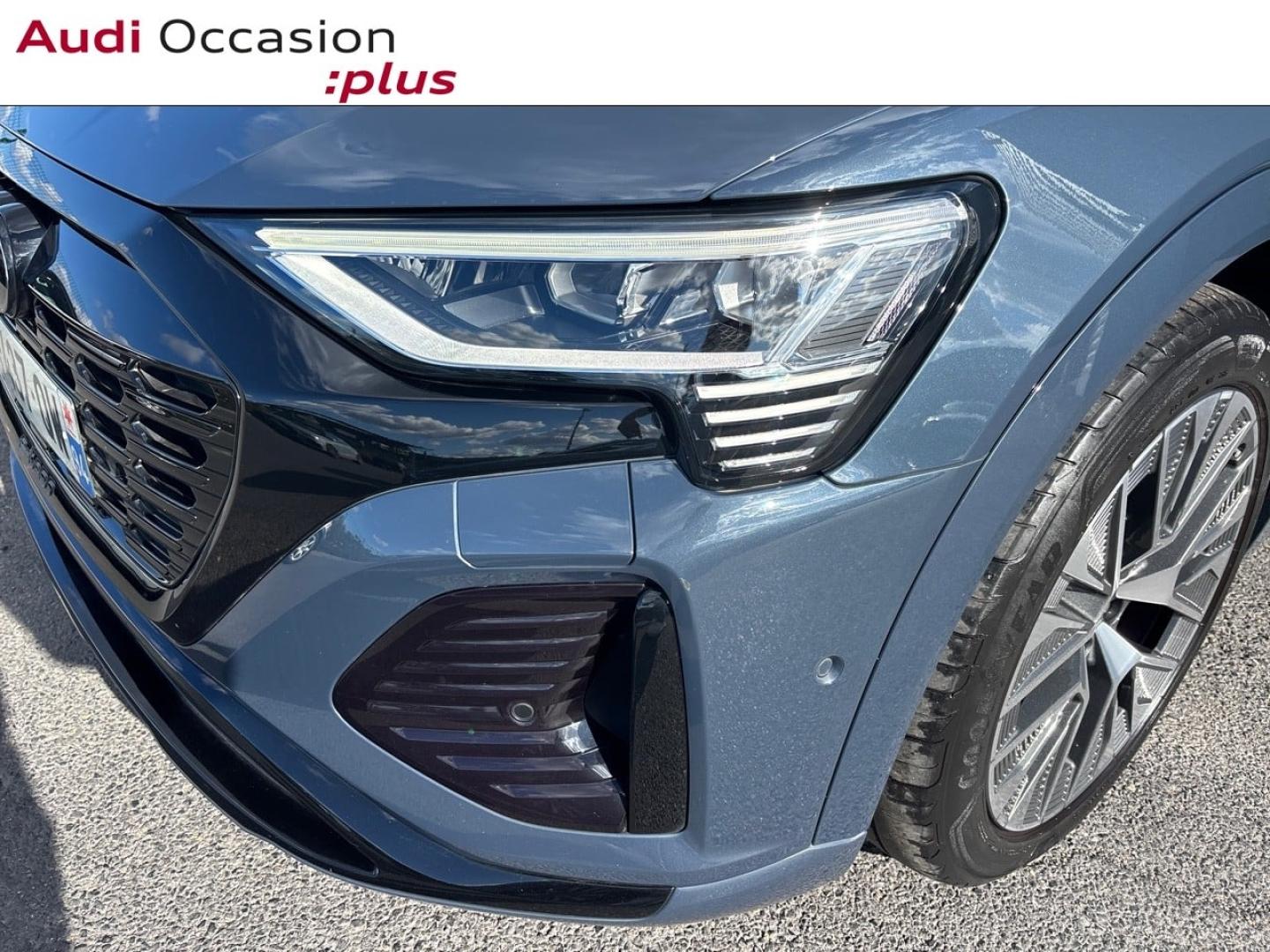 Voitures occasions Audi Q8 E-TRON S Line Saint-Thibault-des-Vignes