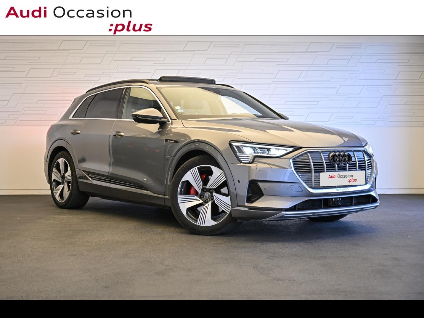 Voitures occasions Audi E-TRON Avus Extended Vélizy-Villacoublay