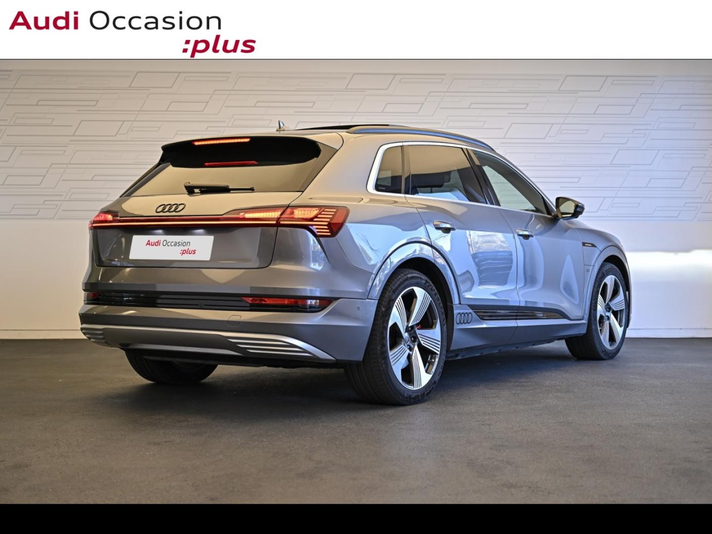 Voitures occasions Audi E-TRON Avus Extended Vélizy-Villacoublay