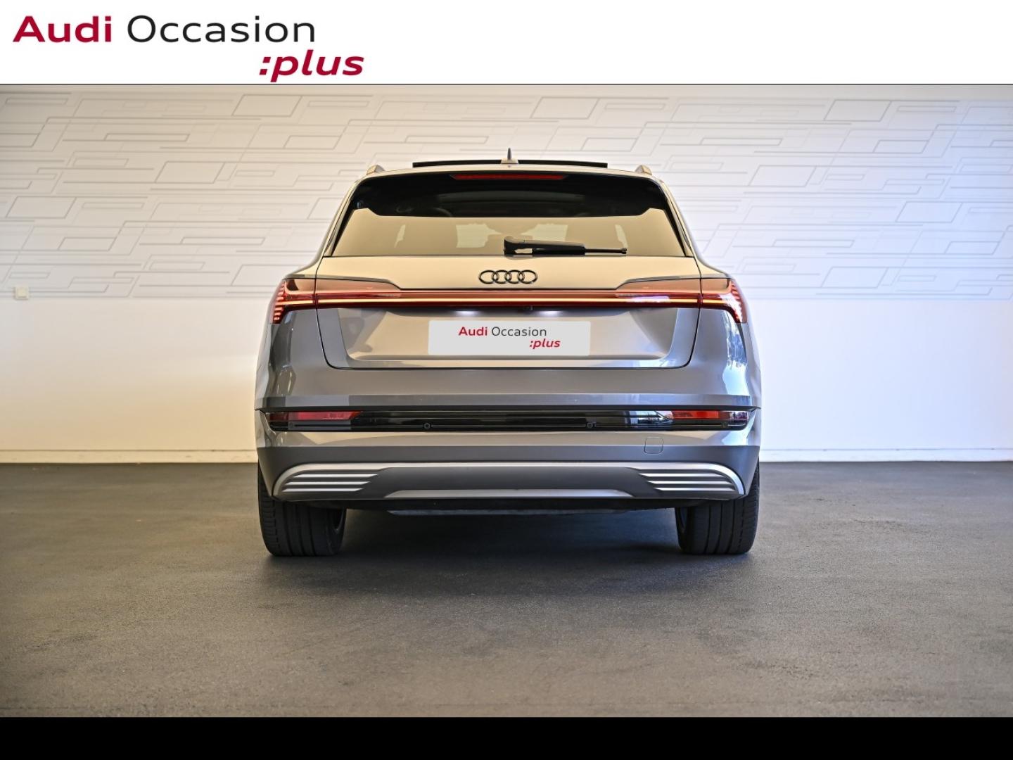 Voitures occasions Audi E-TRON Avus Extended Vélizy-Villacoublay