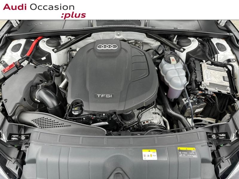 Voitures occasions Audi A5 Cabriolet Avus Vélizy-Villacoublay