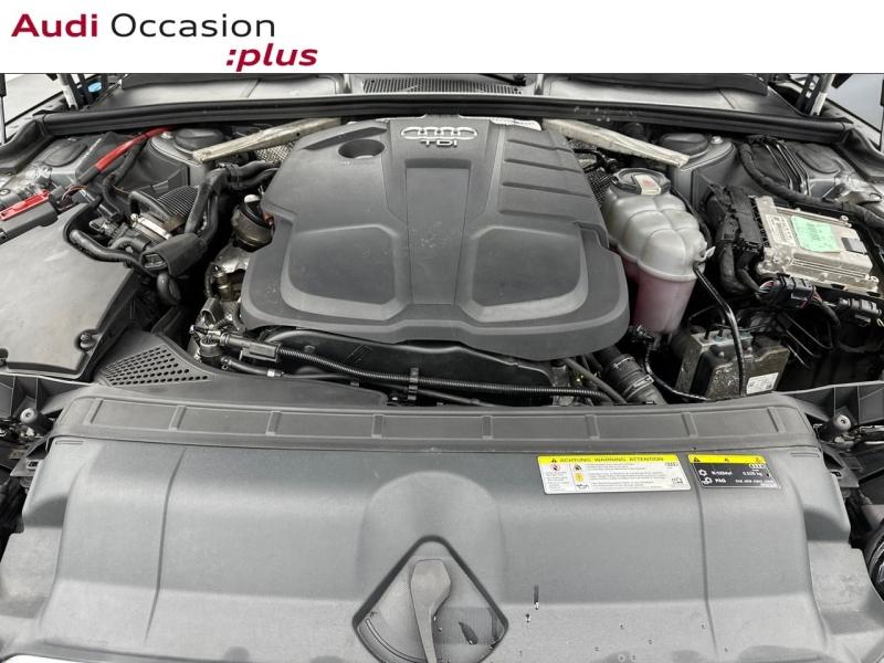 Voitures occasions Audi A5 Sportback Avus Vélizy-Villacoublay