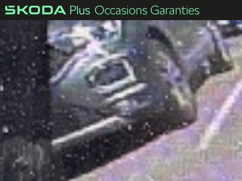 Voitures occasions ŠKODA FABIA Monte Carlo Villemomble