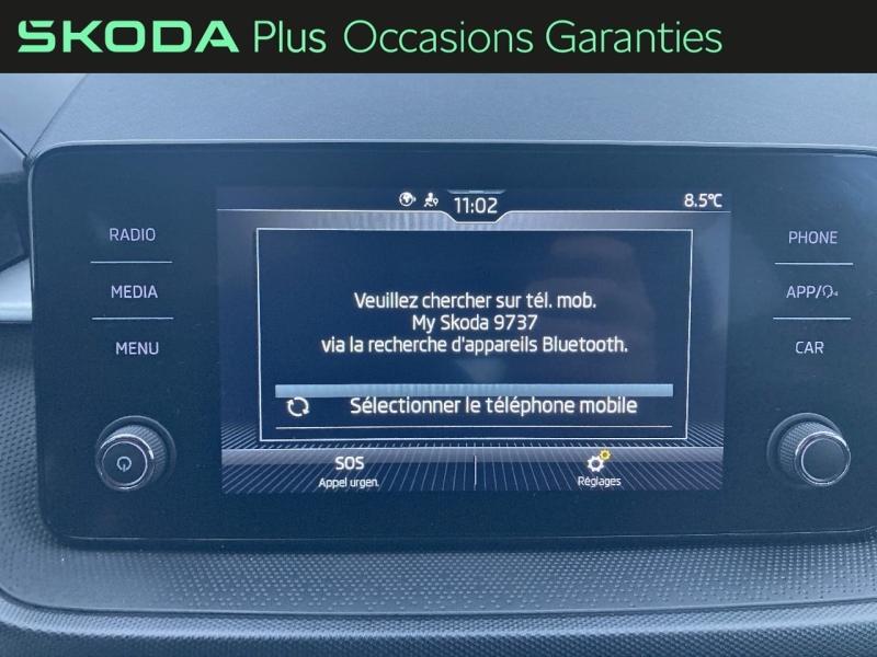 Voitures occasions ŠKODA FABIA Ambition Rivery