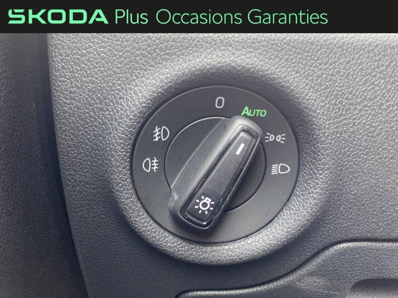 Voitures occasions ŠKODA FABIA Monte Carlo Rivery