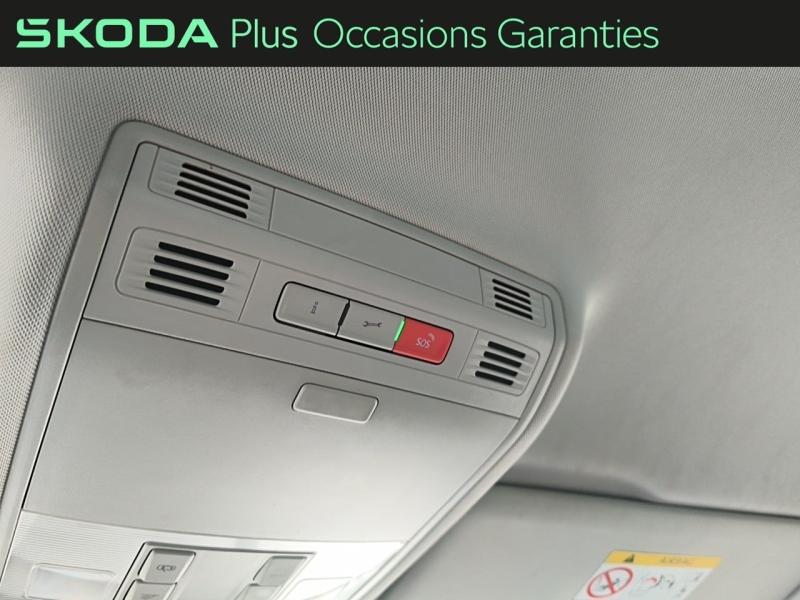 Voitures occasions ŠKODA KODIAQ Business Rivery