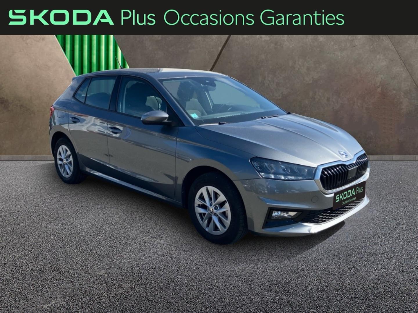 Voitures occasions ŠKODA FABIA Ambition Rivery