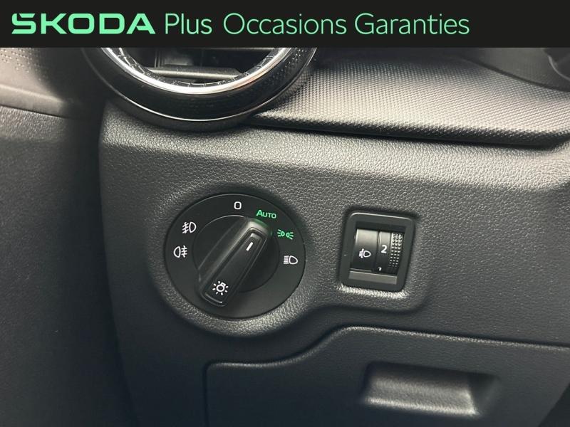 Voitures occasions ŠKODA FABIA Ambition Rivery