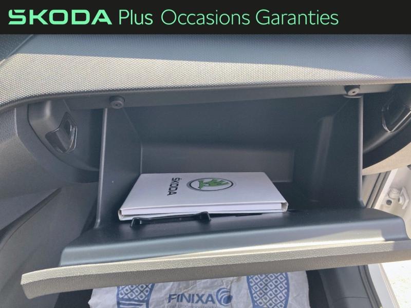 Voitures occasions ŠKODA FABIA Ambition Rivery