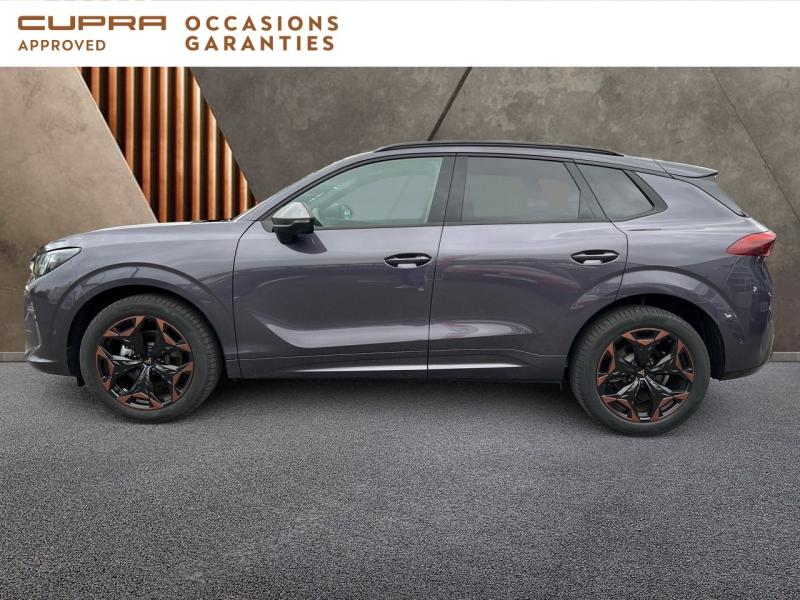 Voitures occasions CUPRA Terramar V Rivery