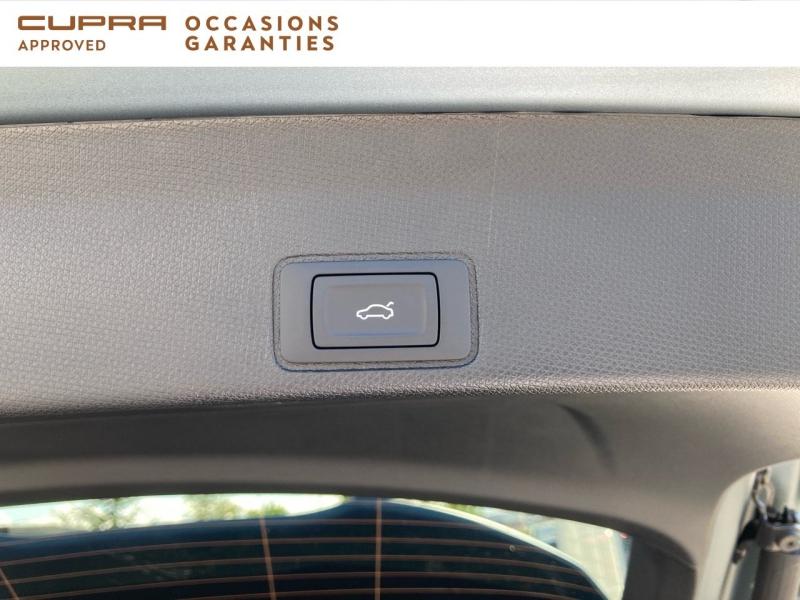 Voitures occasions CUPRA Terramar America s Cup Dunkerque