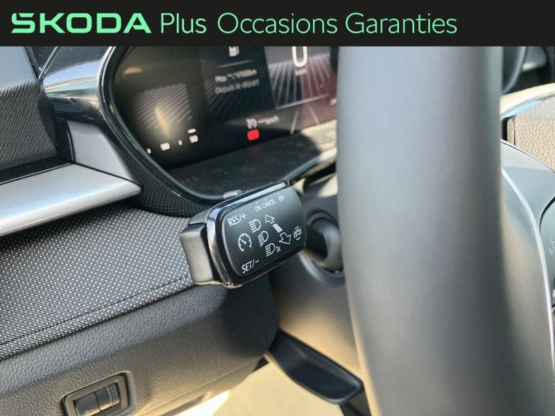 Voitures occasions ŠKODA FABIA Selection Rivery