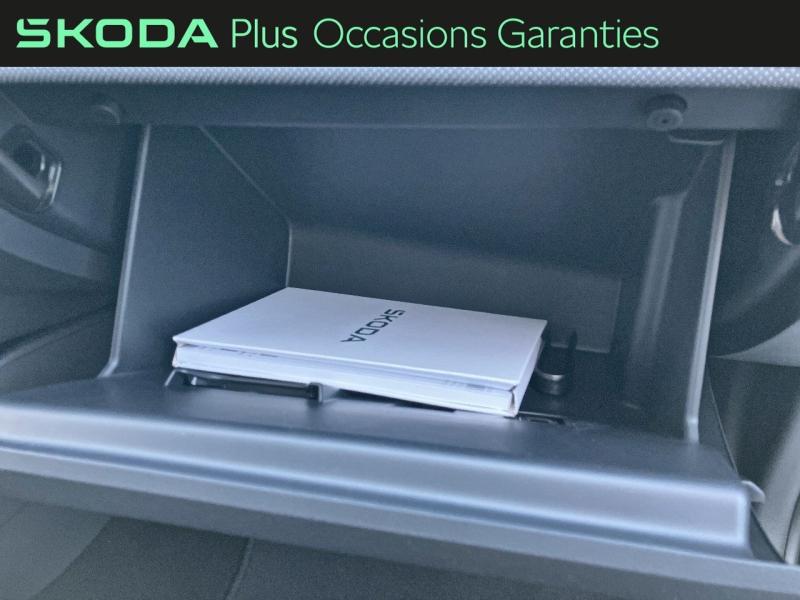 Voitures occasions ŠKODA FABIA Selection Rivery