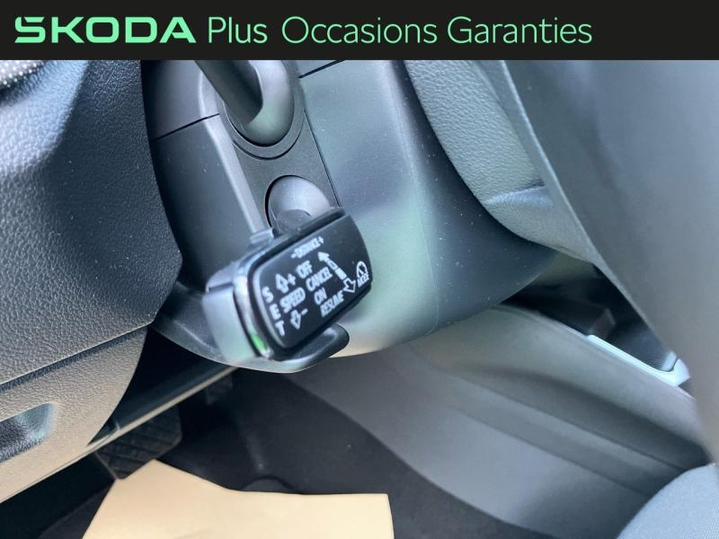 Voitures occasions ŠKODA FABIA Selection Rivery