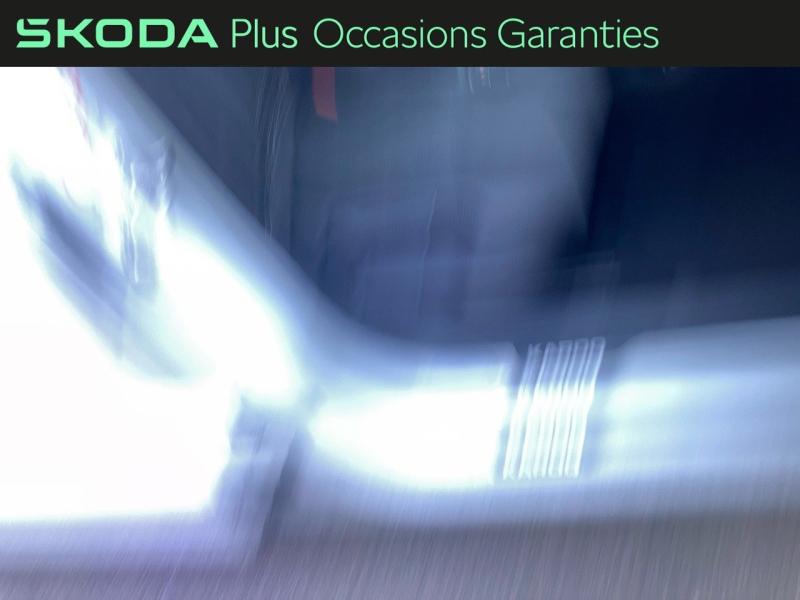 Voitures occasions ŠKODA KAROQ Sportline Rivery