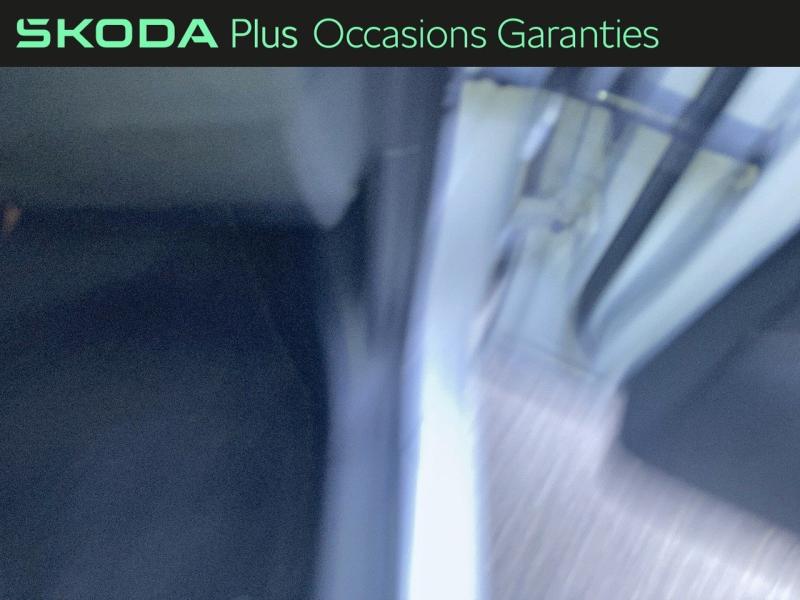 Voitures occasions ŠKODA KAROQ Sportline Rivery