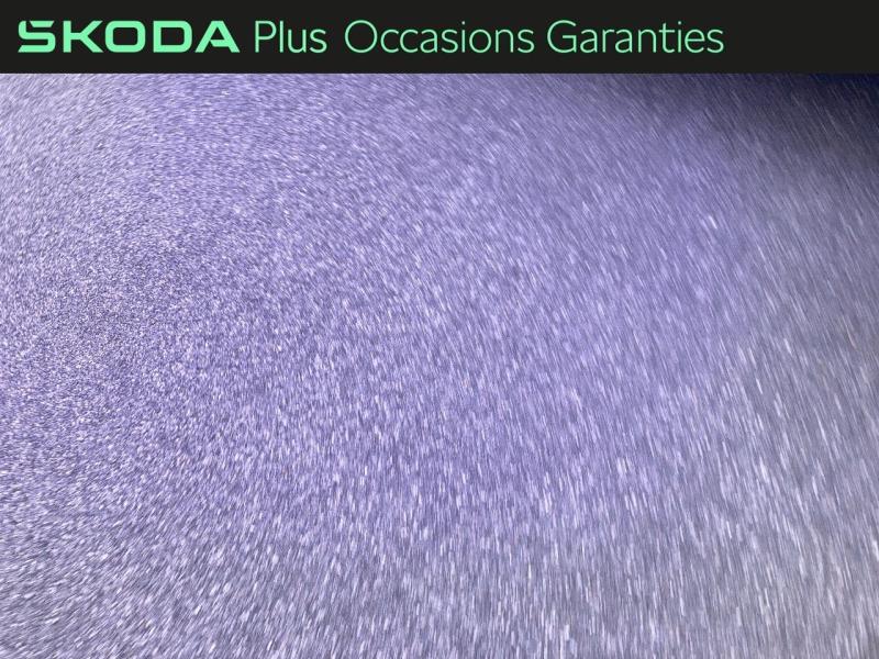 Voitures occasions ŠKODA KAROQ Sportline Rivery