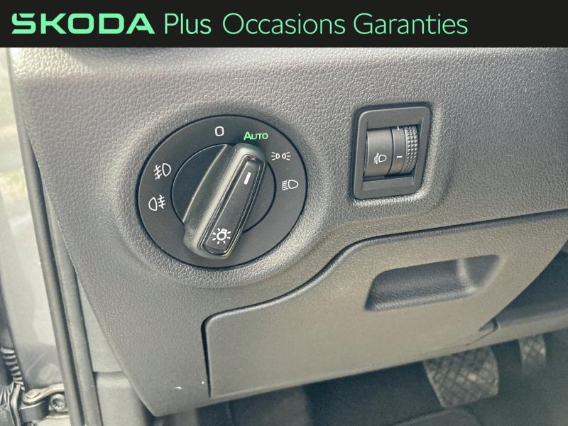 Voitures occasions ŠKODA FABIA Selection Rivery