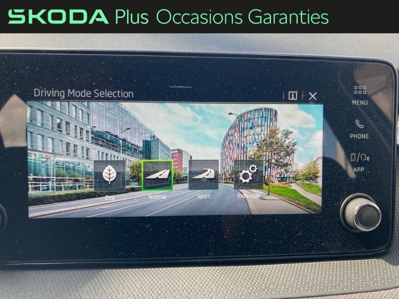 Voitures occasions ŠKODA FABIA Selection Rivery