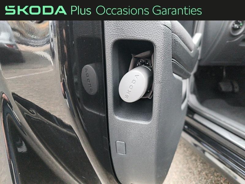 Voitures occasions ŠKODA FABIA Selection Rivery