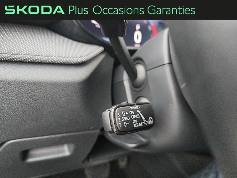 Voitures occasions ŠKODA FABIA Selection Rivery