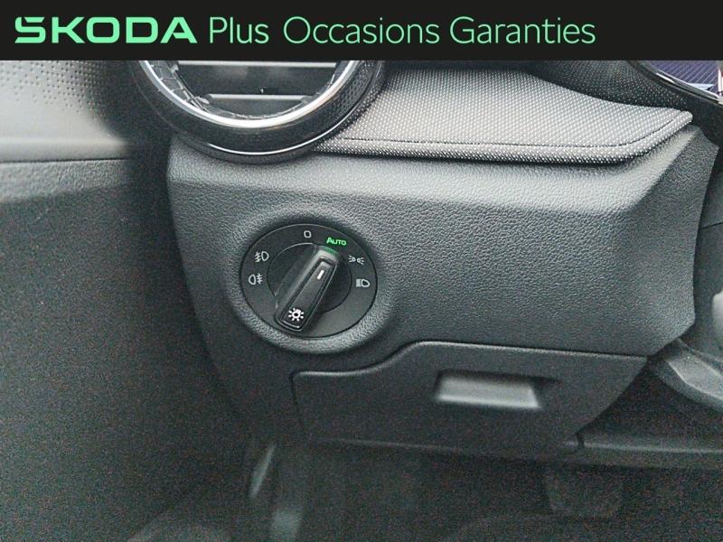 Voitures occasions ŠKODA FABIA Selection Rivery