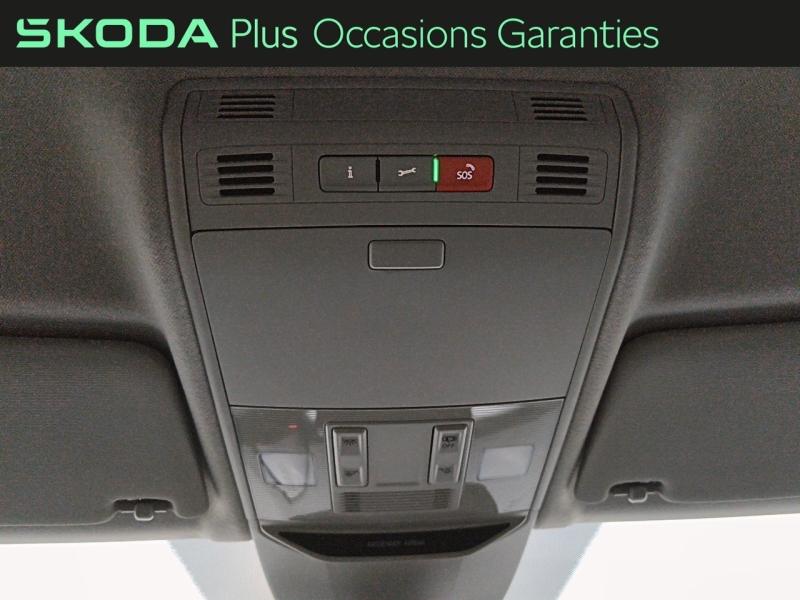 Voitures occasions ŠKODA FABIA Selection Rivery