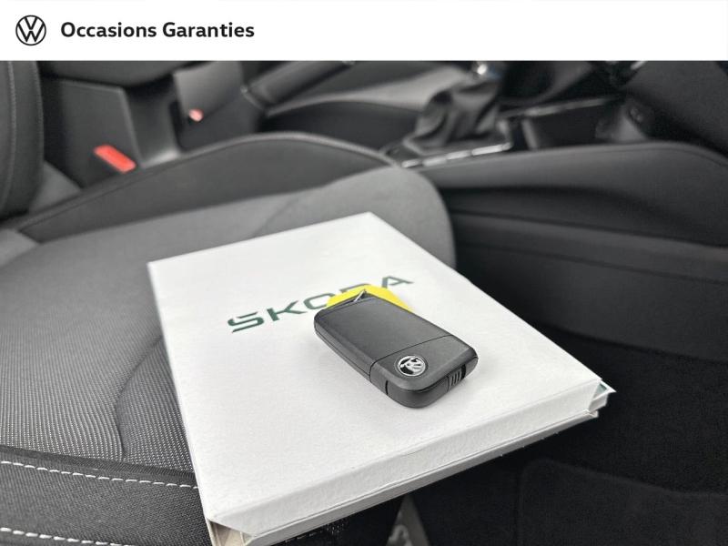 Voitures occasions ŠKODA FABIA Selection Rivery