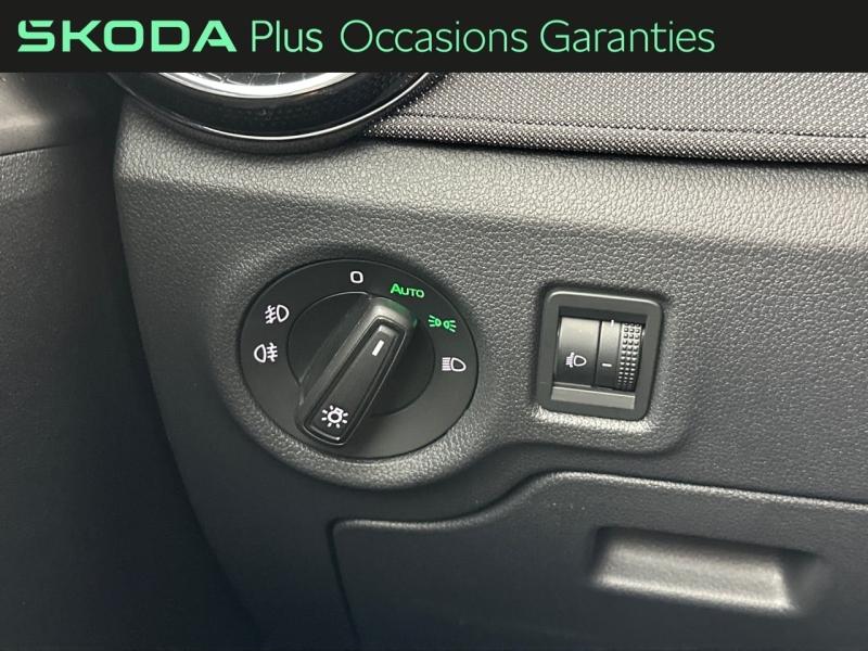 Voitures occasions ŠKODA FABIA Selection Rivery