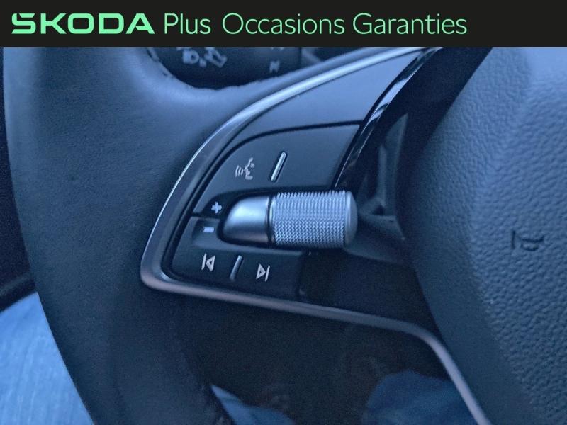 Voitures occasions ŠKODA FABIA Selection Rivery