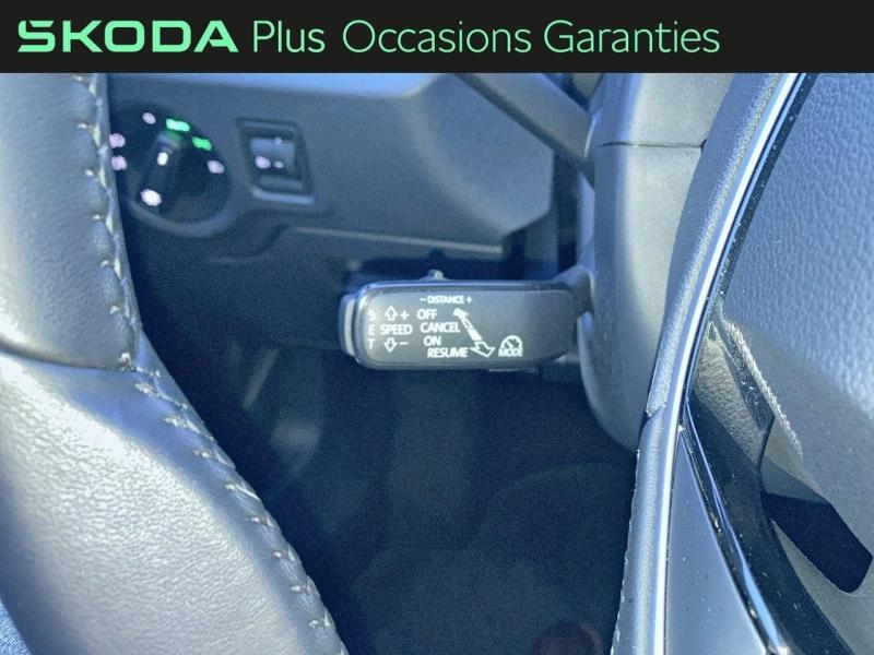 Voitures occasions ŠKODA FABIA Selection Rivery