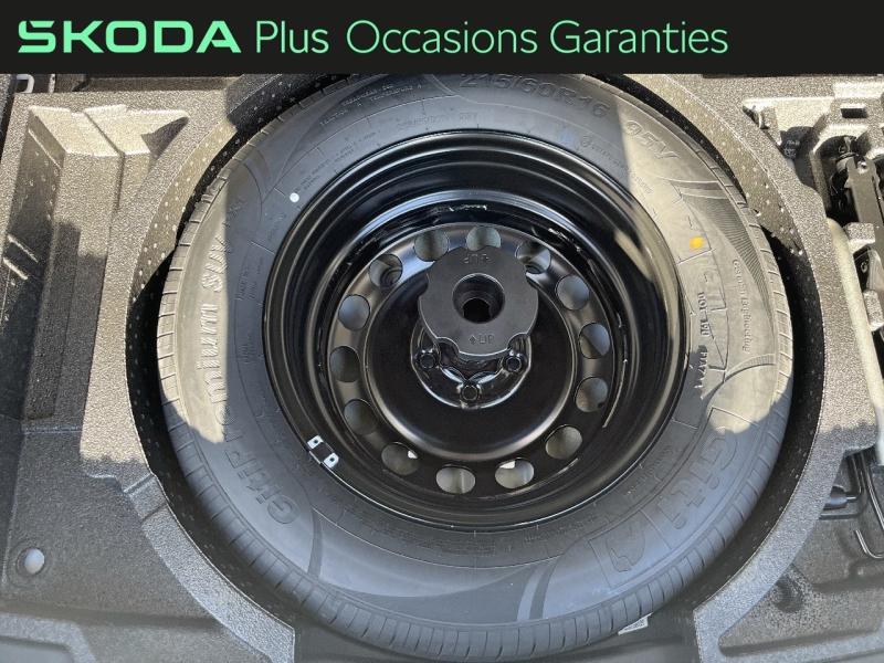 Voitures occasions ŠKODA KAROQ Sportline Rivery