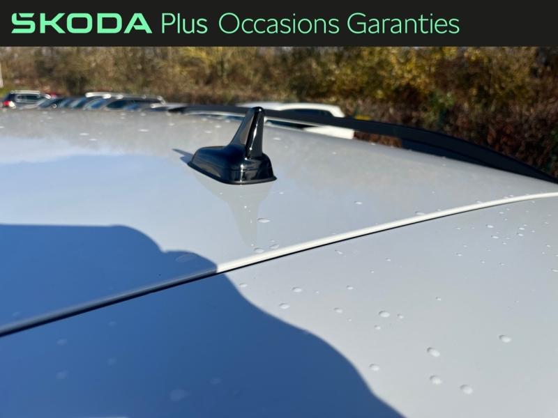 Voitures occasions ŠKODA KAROQ Sportline Rivery