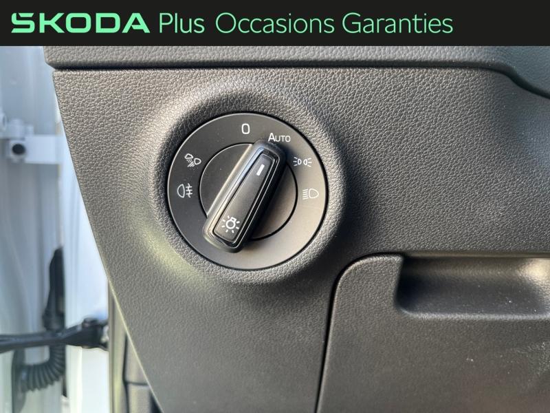 Voitures occasions ŠKODA KAROQ Sportline Rivery