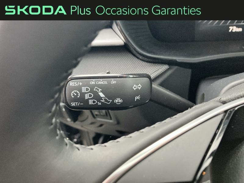 Voitures occasions ŠKODA FABIA Selection Rivery